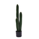 Αγόρασε Διακοσμητικό φυτό Cactus III σε γλάστρα Inart πράσινο pp Υ85εκ σε μοναδική τιμή στο agoraepiplou.gr